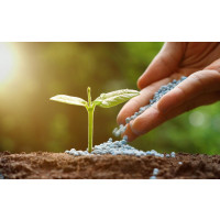 Fertilizer available for delivery in Europe