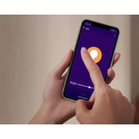SMART LED PÆRE 2STK GOSUND TO PAKKE